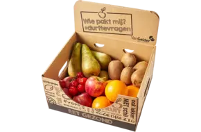Werkfruit seizoensmix doos 30st